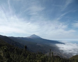 Tenerife UNESCO Experience